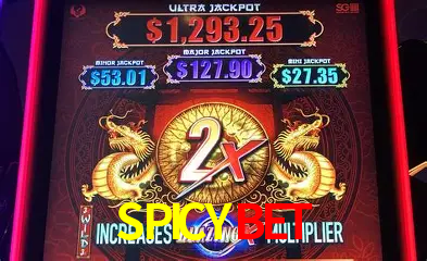 A Popularidade dos Caça-Níqueis no SPICYBET