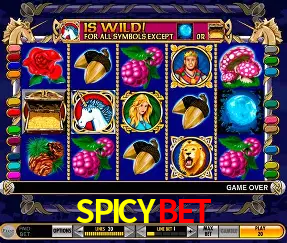 Descubra o Mundo do Cassino Online com SPICYBET